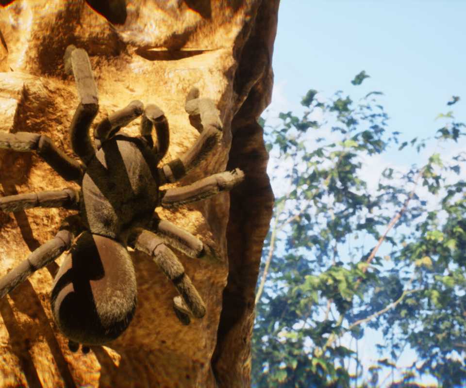 the undergrowth press screenshot 1