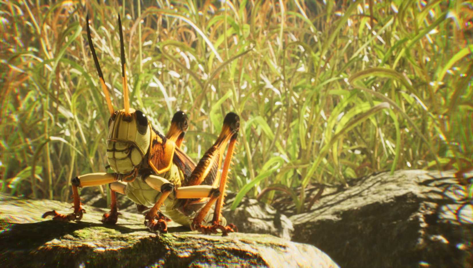 the undergrowth press screenshot 5