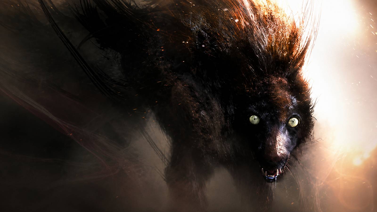 The Wolves of Mordor Officially Announced The Wolves of Mordor Officially Announced