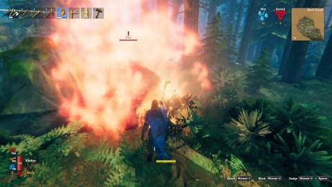 Valheim Bear on fire 
