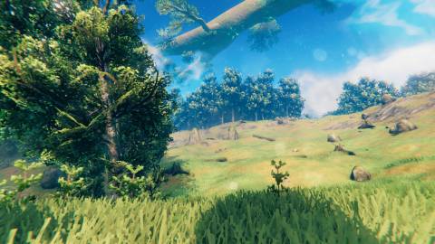 Valheim Meadows biome