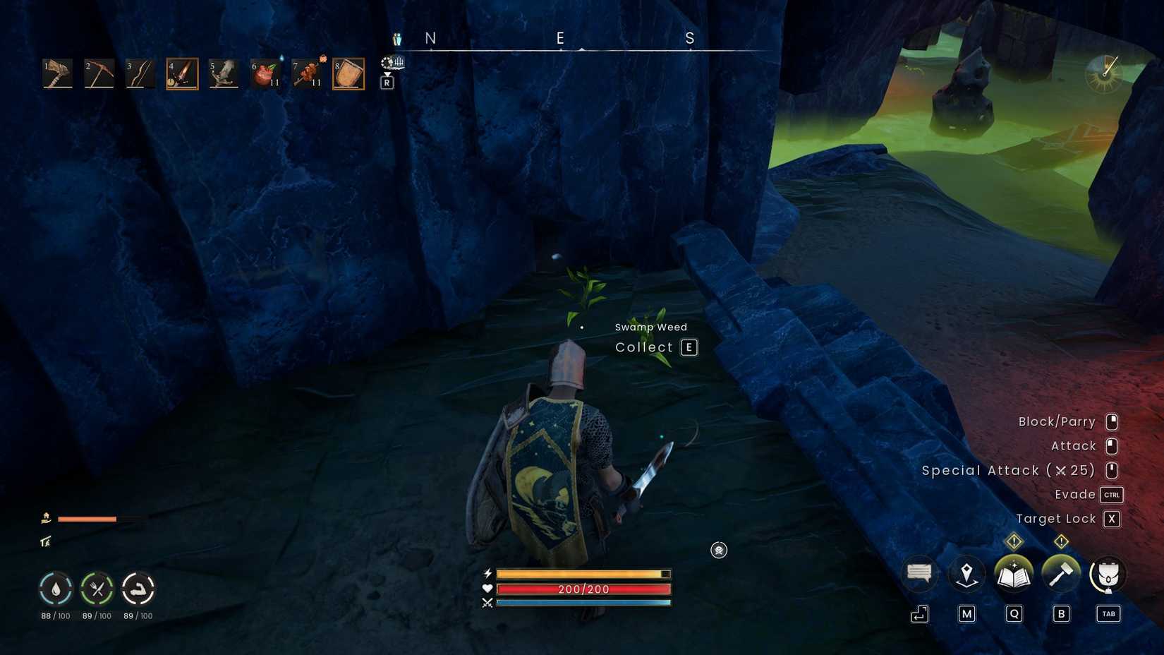 Runescape Dragonwilds Swamp Weed in dungeon