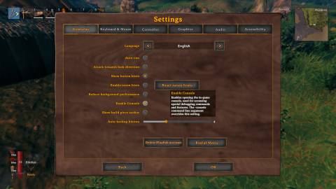 Vallheim enable console option