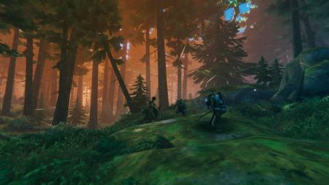 Valheim Dark Forest Biome