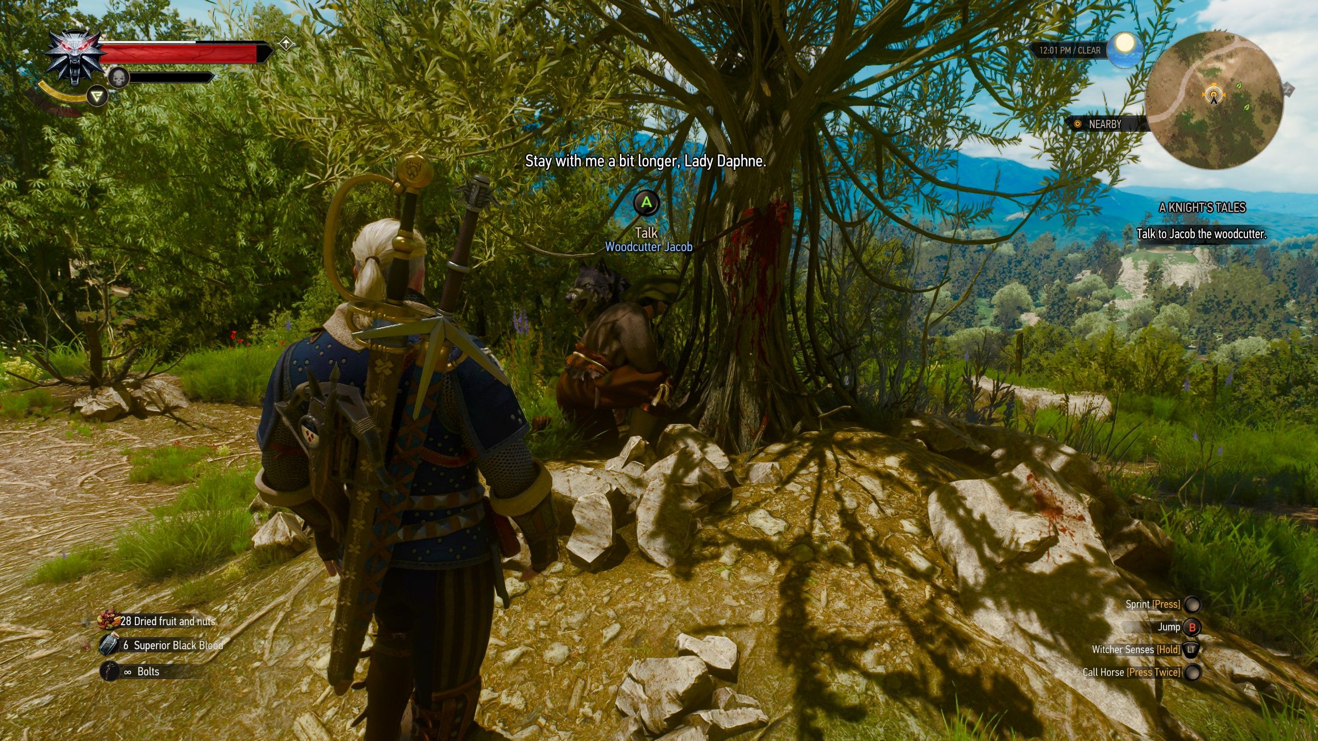 A Knight's Tales (3)