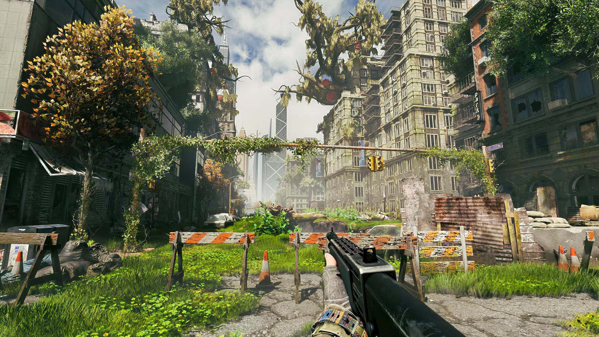 city ruins in active matter.