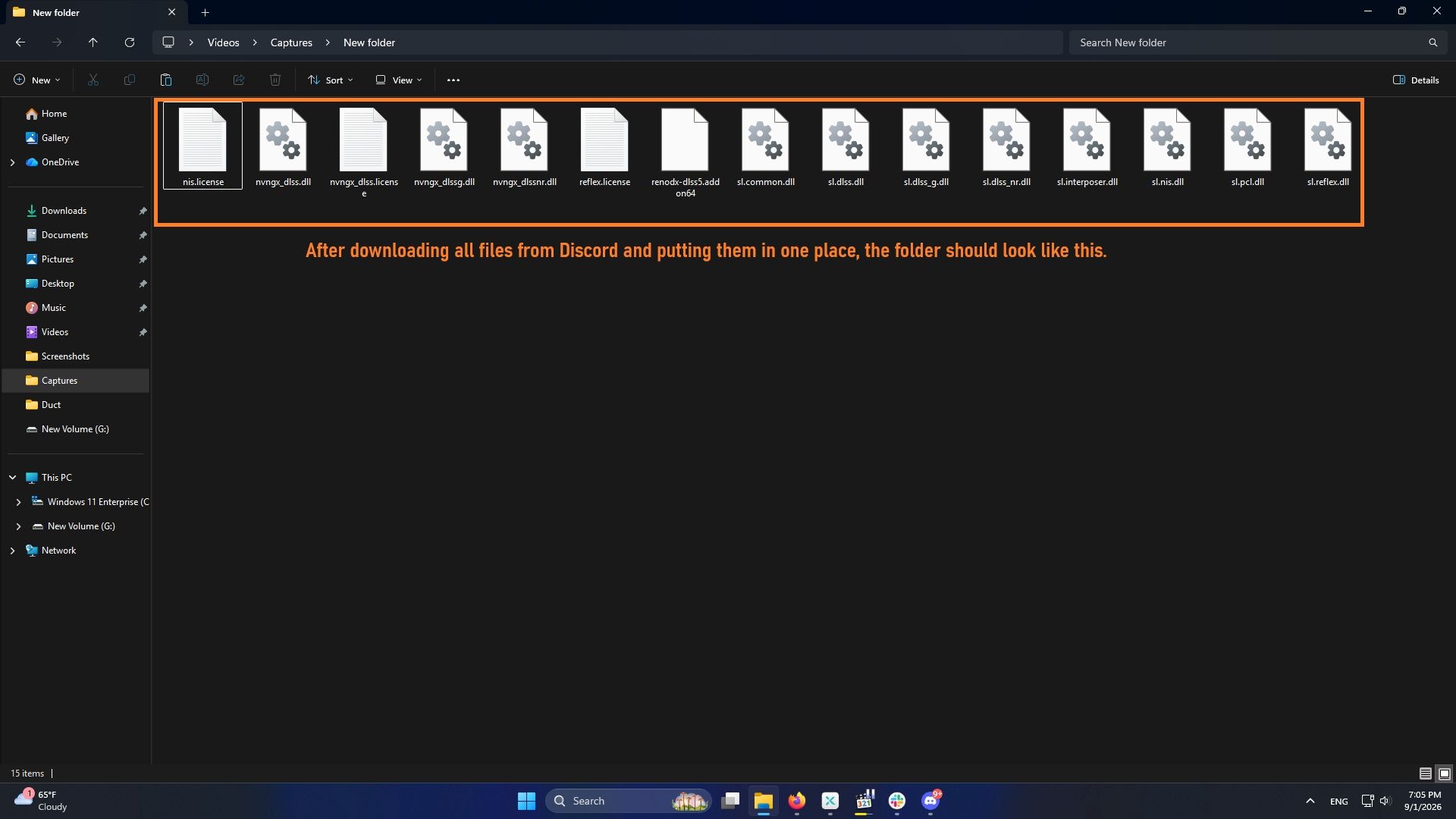 All files from Discord - DLSS 5 Mod