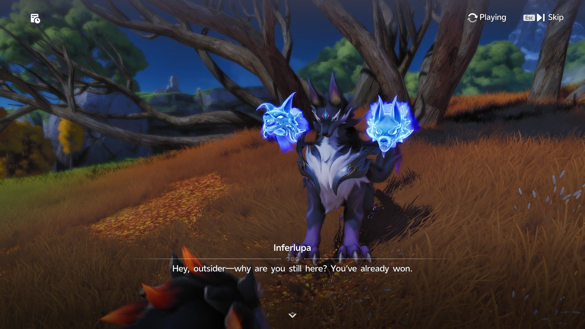 Aniimo Fameruff Evolution Quest