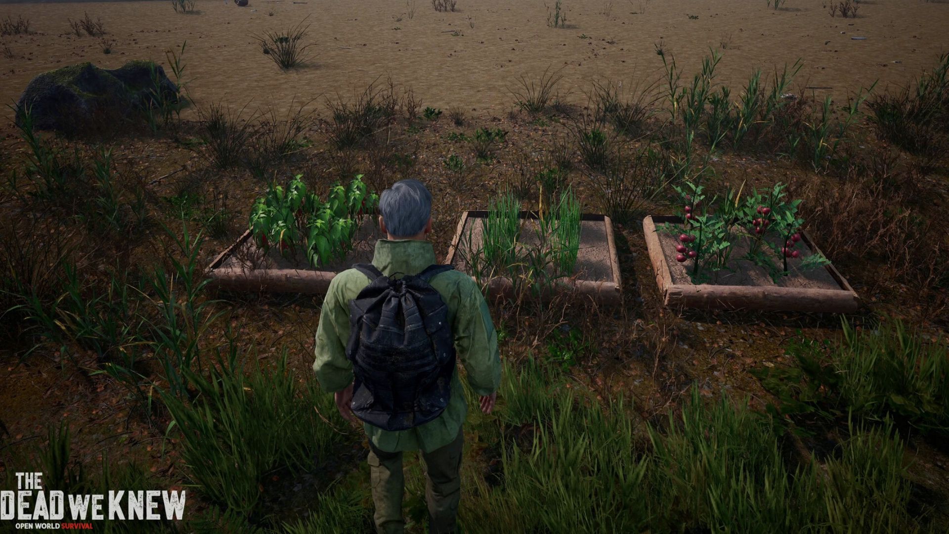 Gardening plants at base