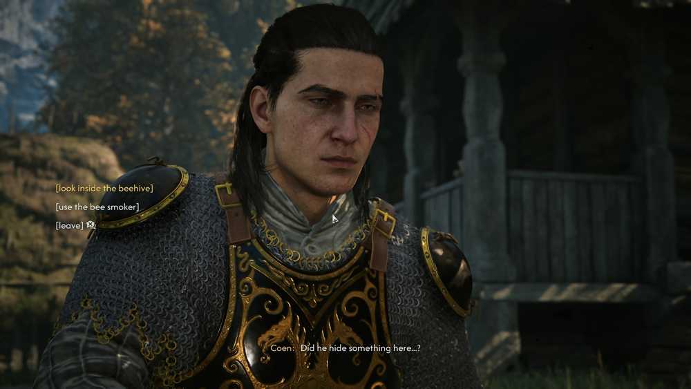 Examine a colmeia em Distant Shadows