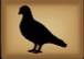bird symbol