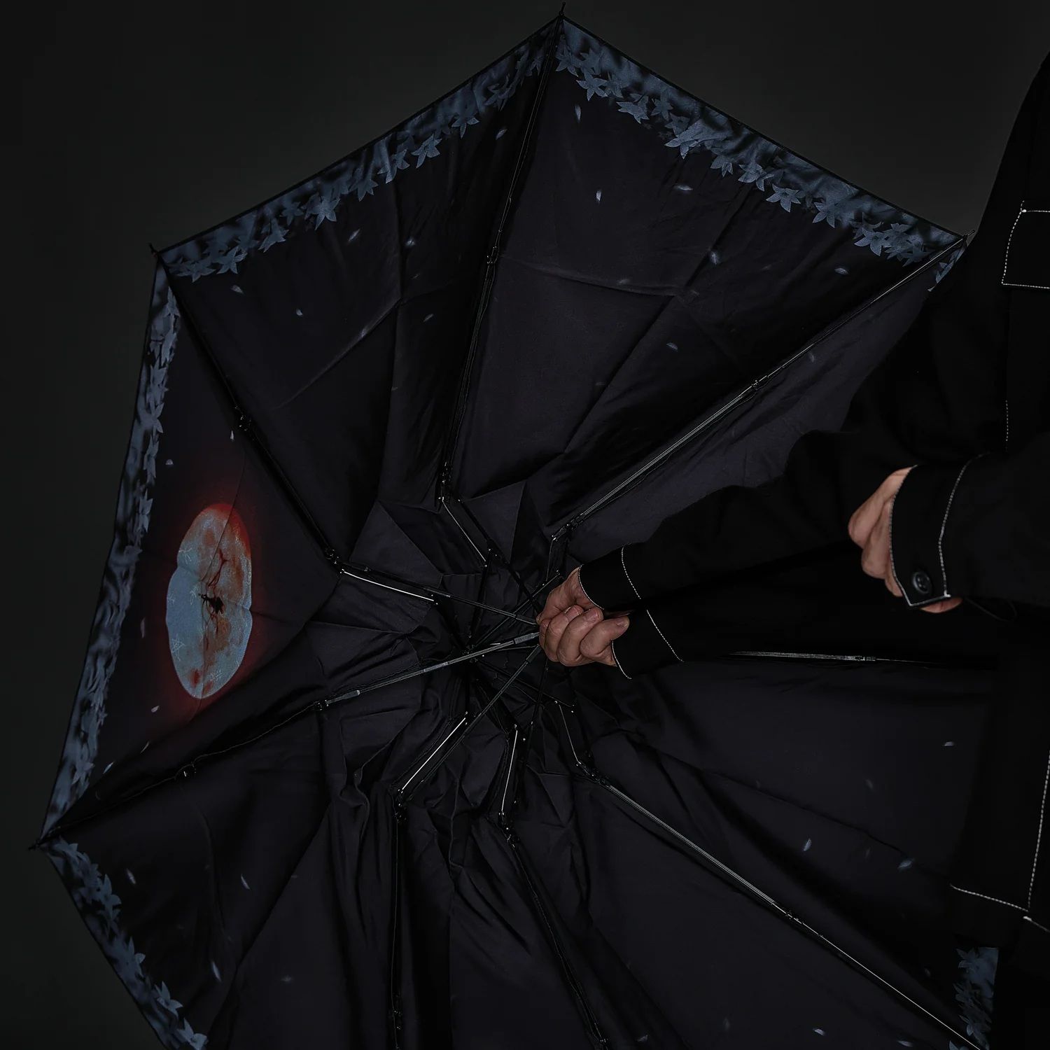 bloodborne umbrella inside