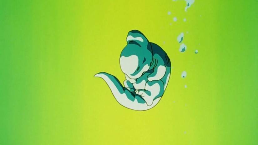 Cell Embryo
