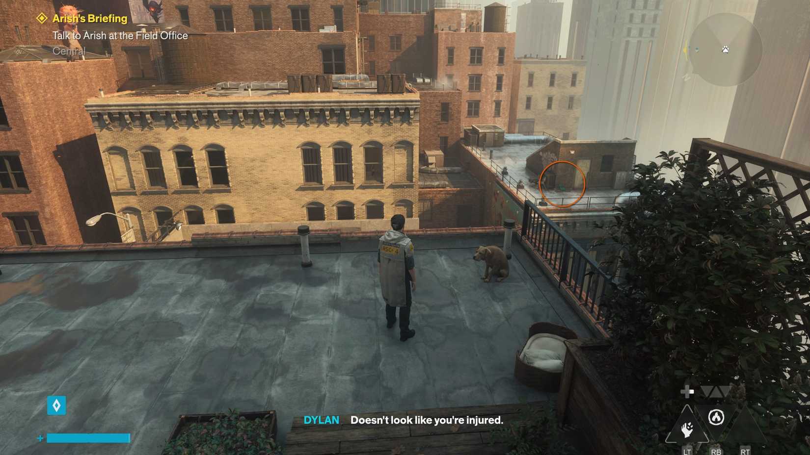 Downtown Dog's Toy Location Control Resonant