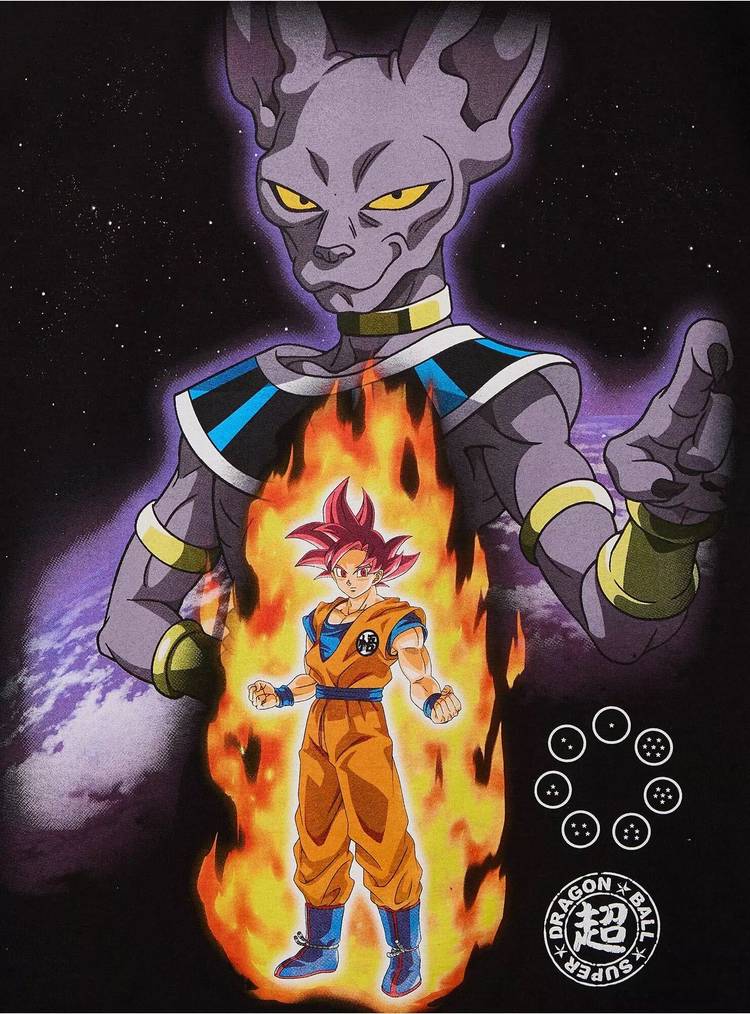 Super Saiyan God Goku and Beerus in Dragon Ball Super: BEerus