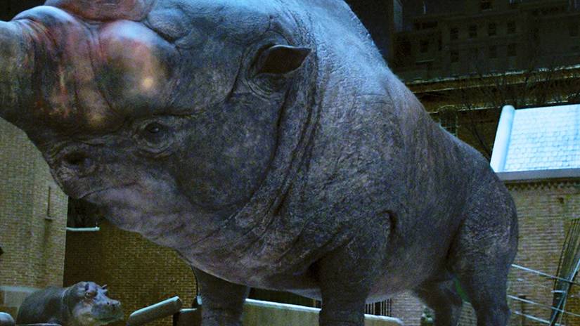 Erumpent from Fantastic Beasts and Where to Find Them