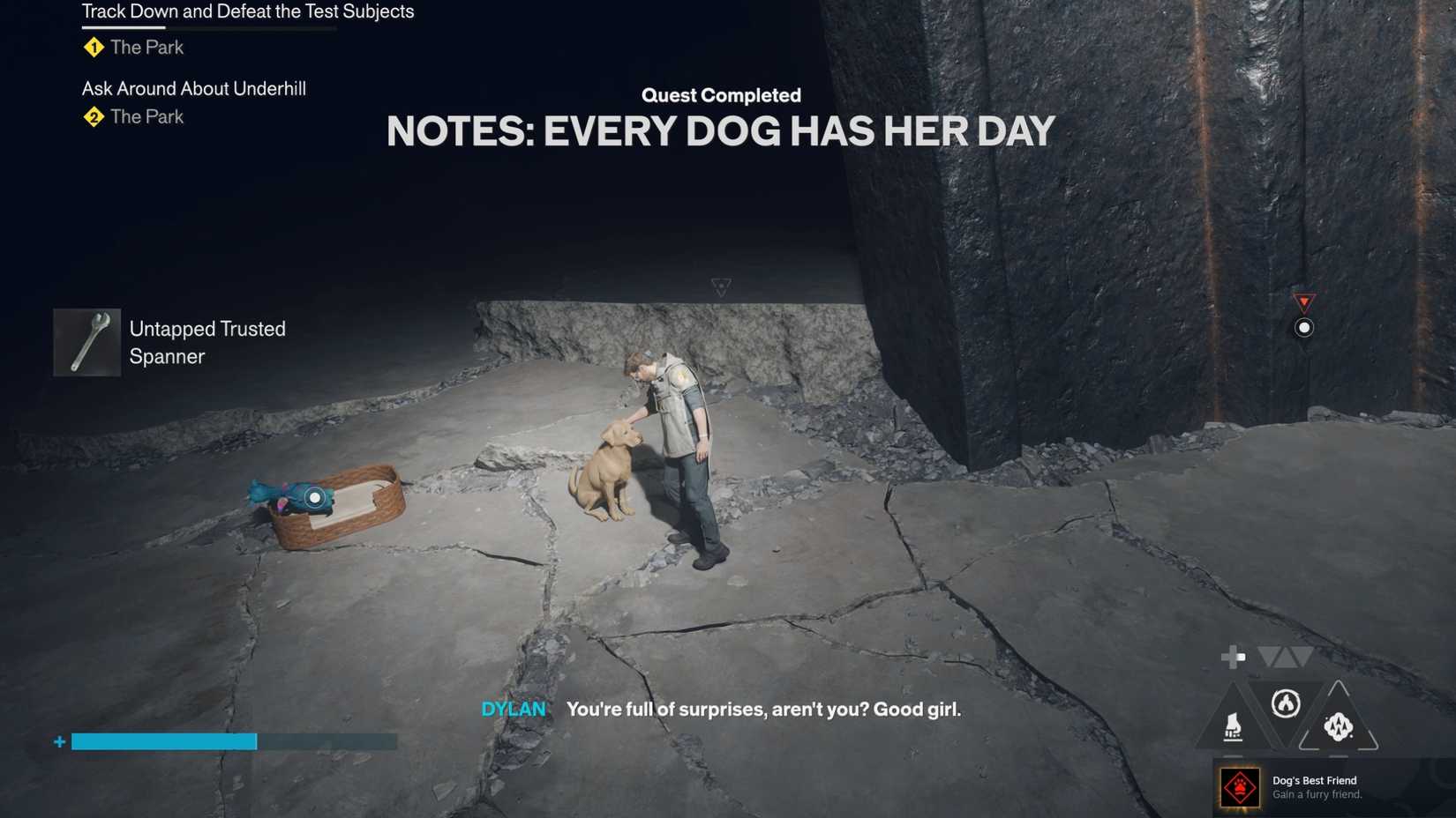 Every Dog Has Her Day Complete Control Resonant