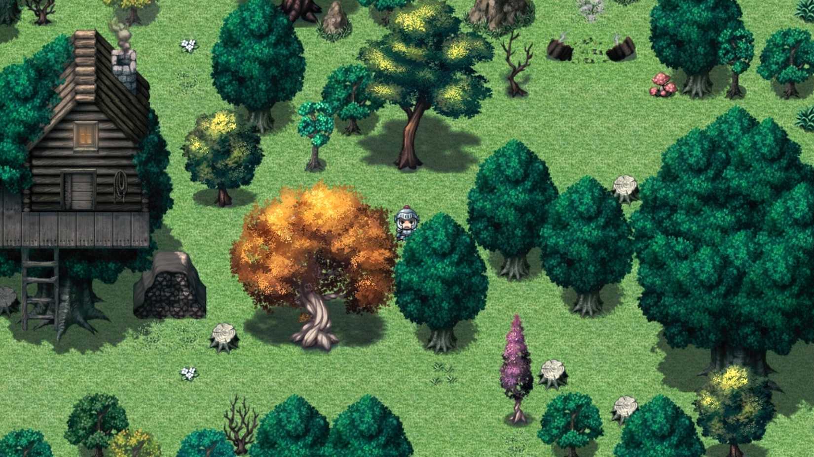 the main forest area in facing the rain.
