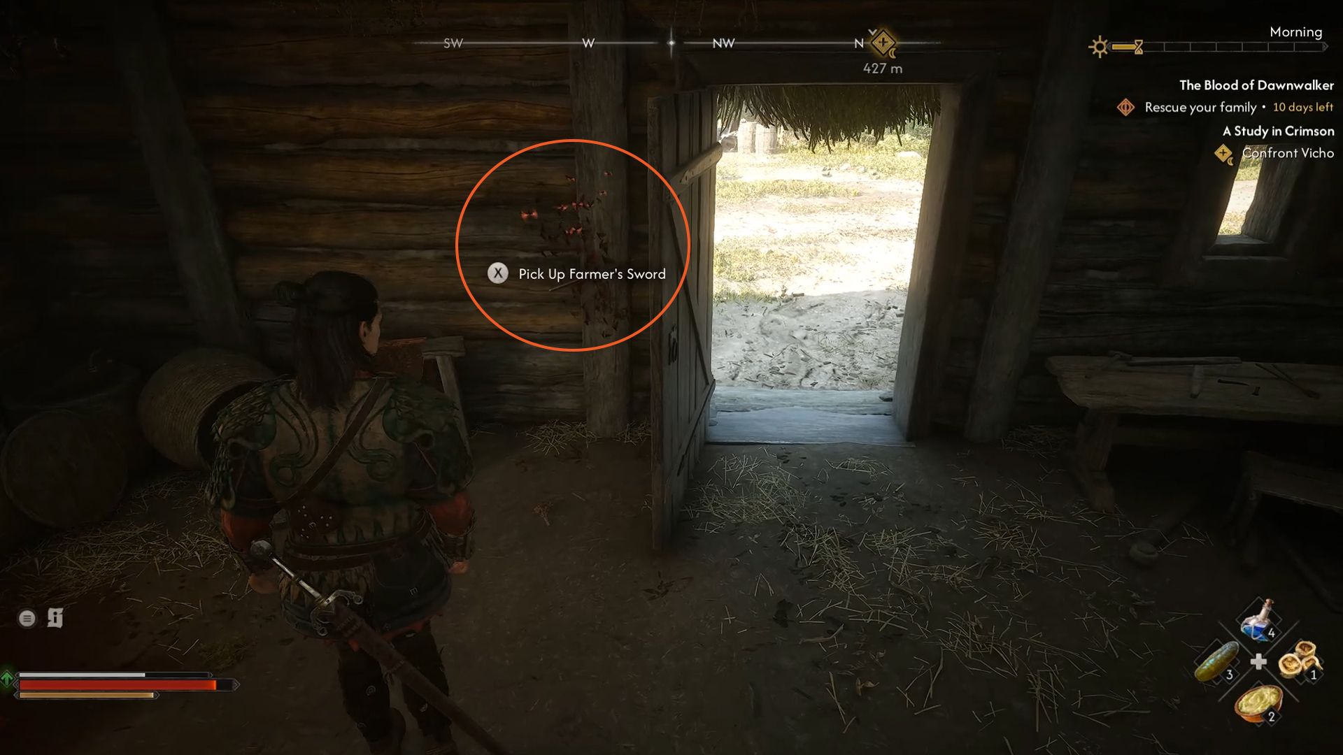 Finding the truth about VIcho 2 in The Blood of Dawnwalker