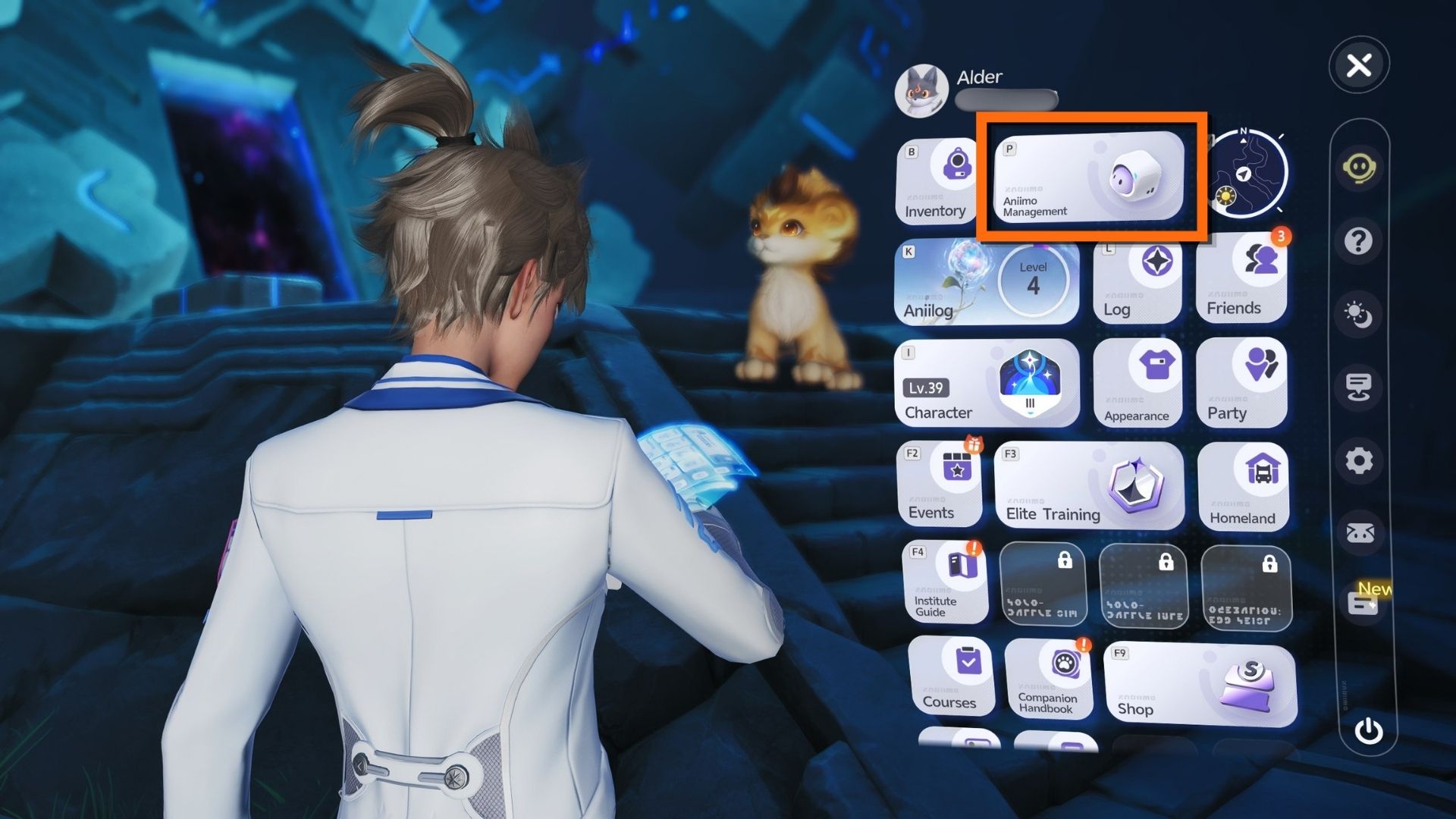 how to evolve aniimo