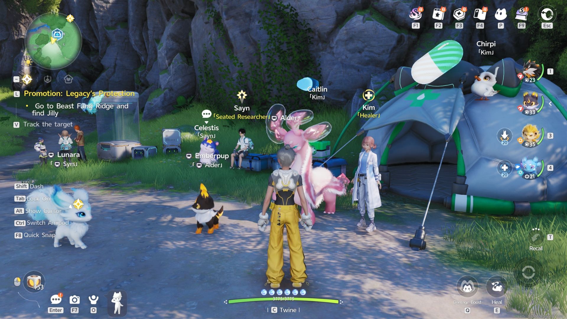 how to heal aniimo healer kim-1