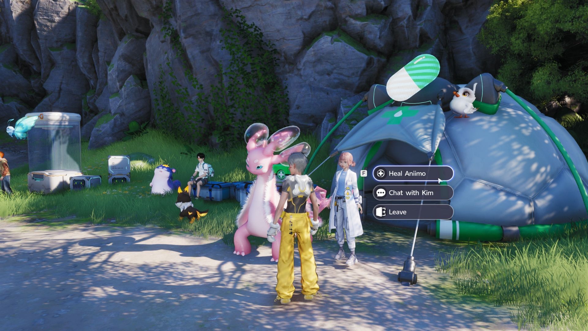 how to heal aniimo healer kim (2)-1