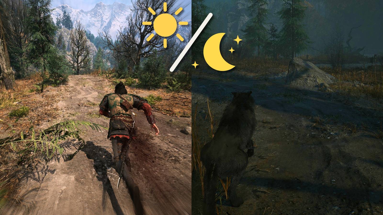 How to Run Faster in The Blood of Dawnwalker (Haste & Shapeshift)