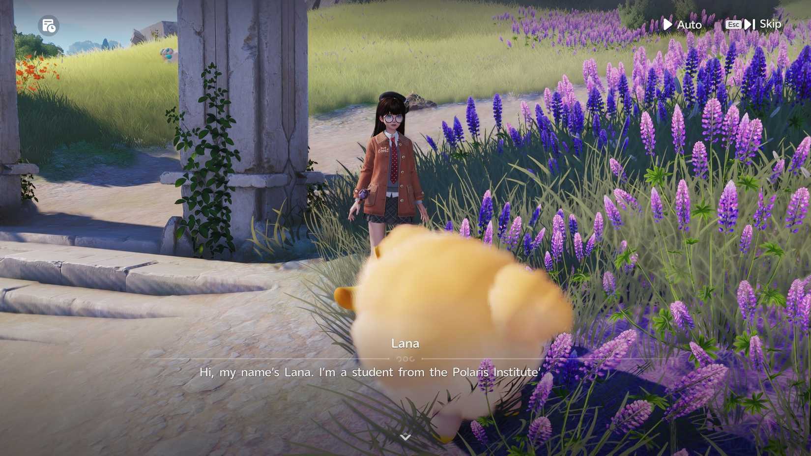 How to Talk To Aniimo in The Wild