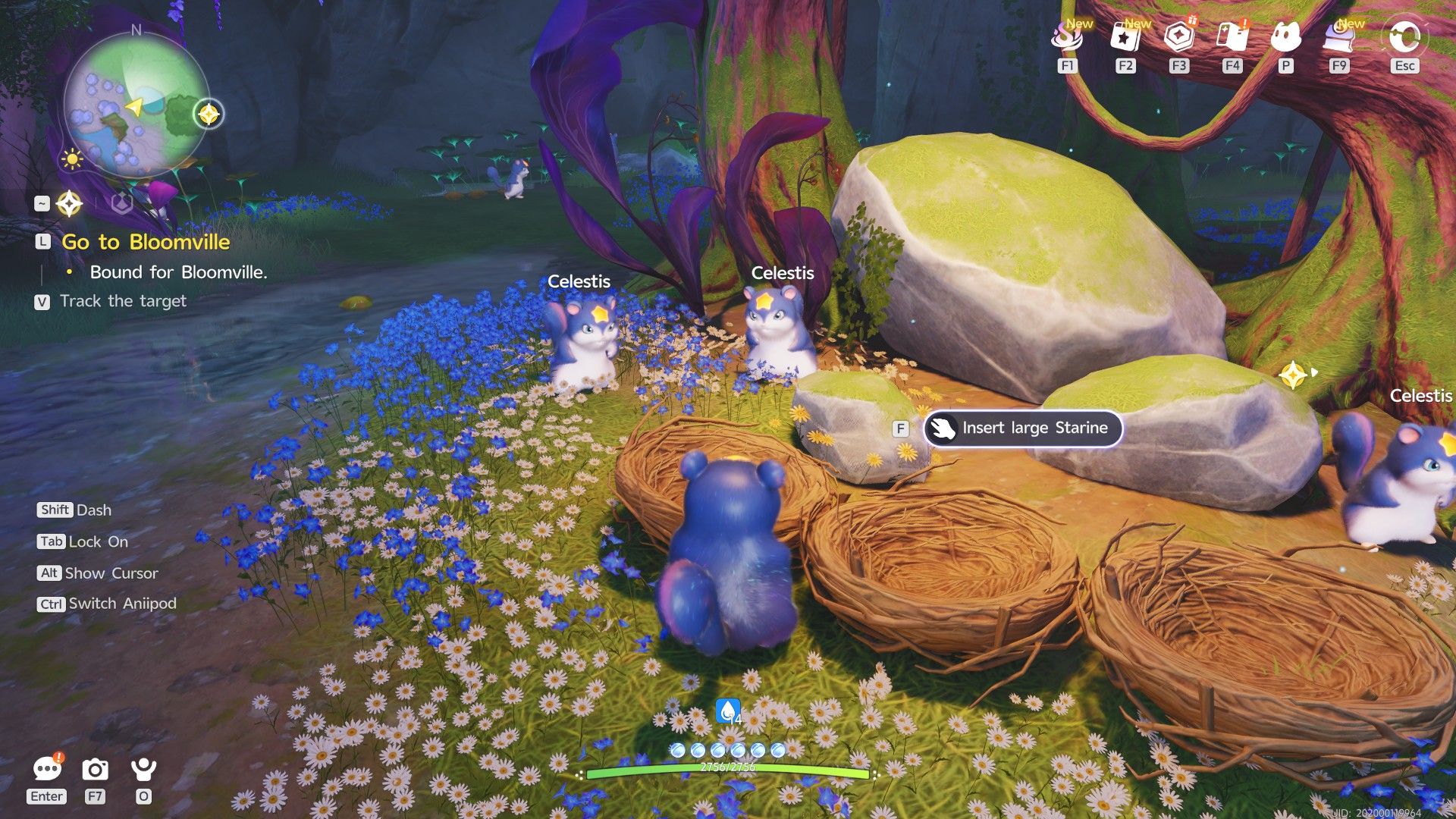 Inside Star Nest Forest of Falling Stars Aniimo