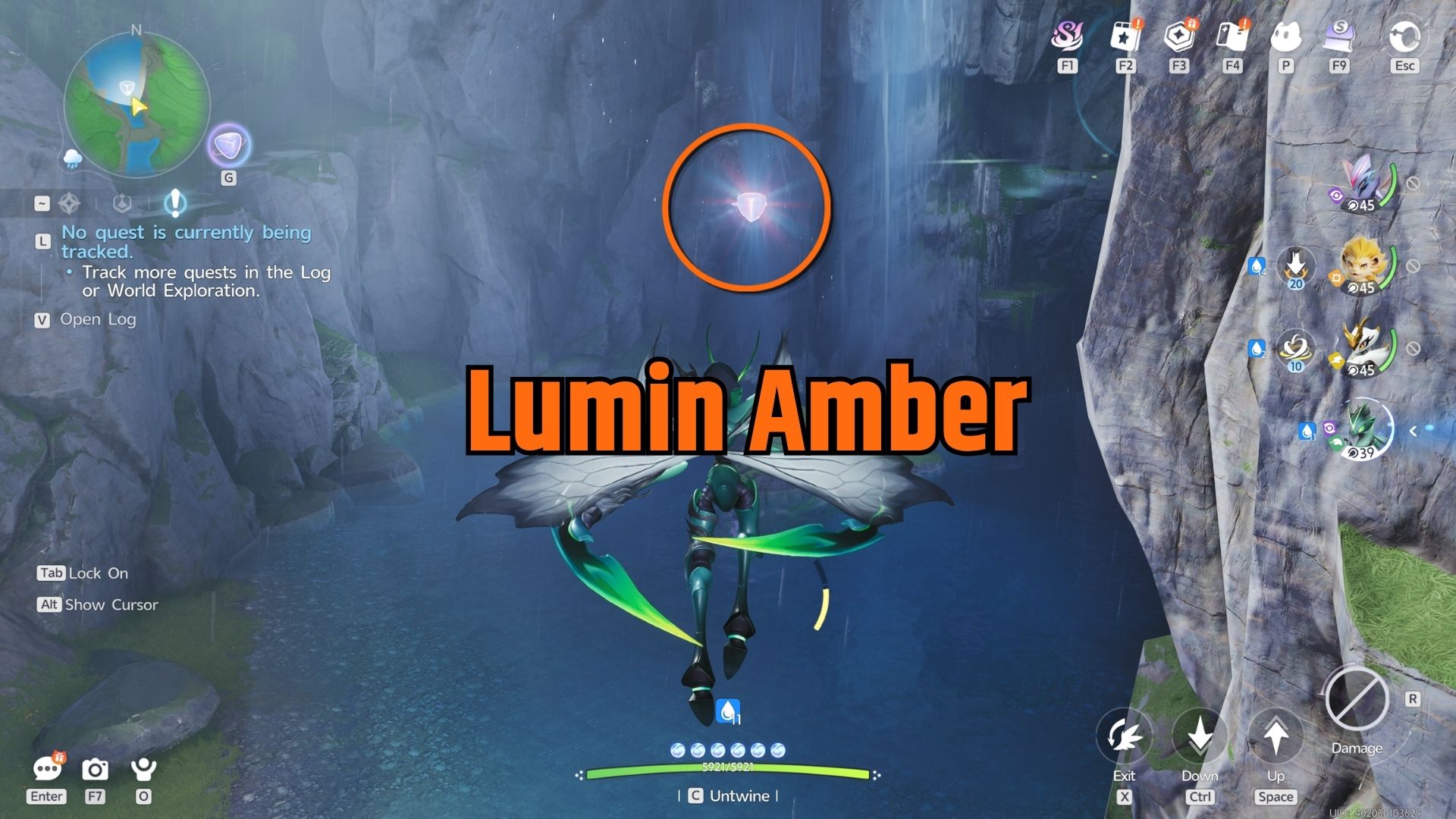 lumin amber aniimo