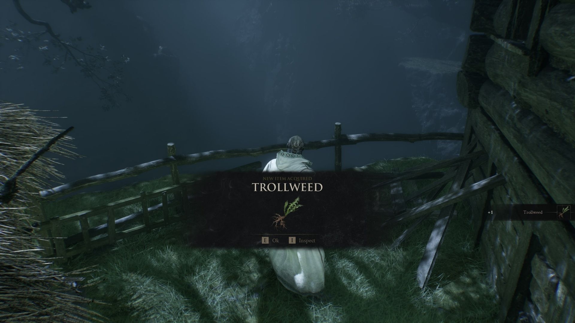 mortal shell 1 trollweed location