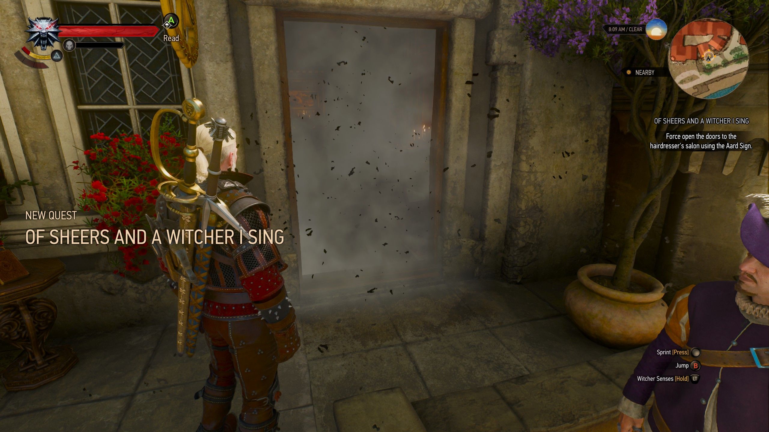 Of Sheers and a Witcher I Sing (3)