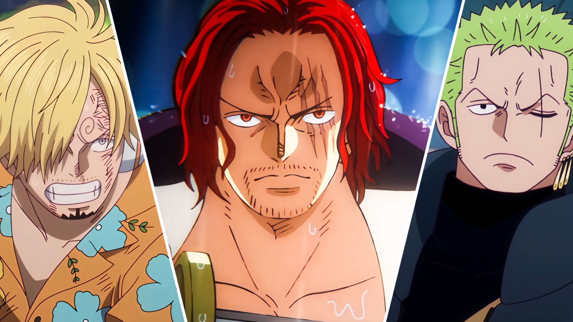 One Piece: 8 Most Hardworking Pirates In The Series