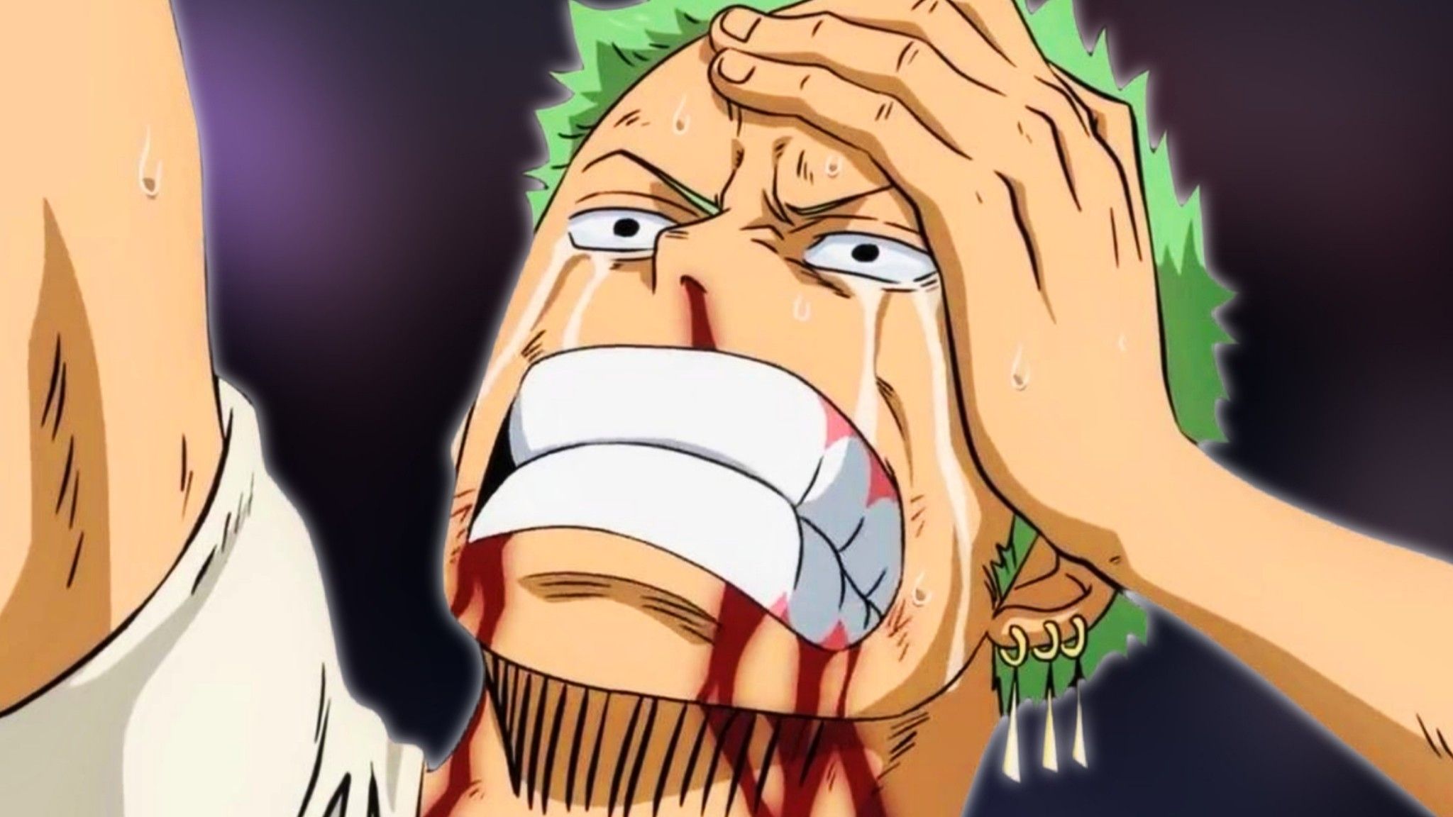 One Piece Officially Takes Away Zoro's Conqueror's Haki