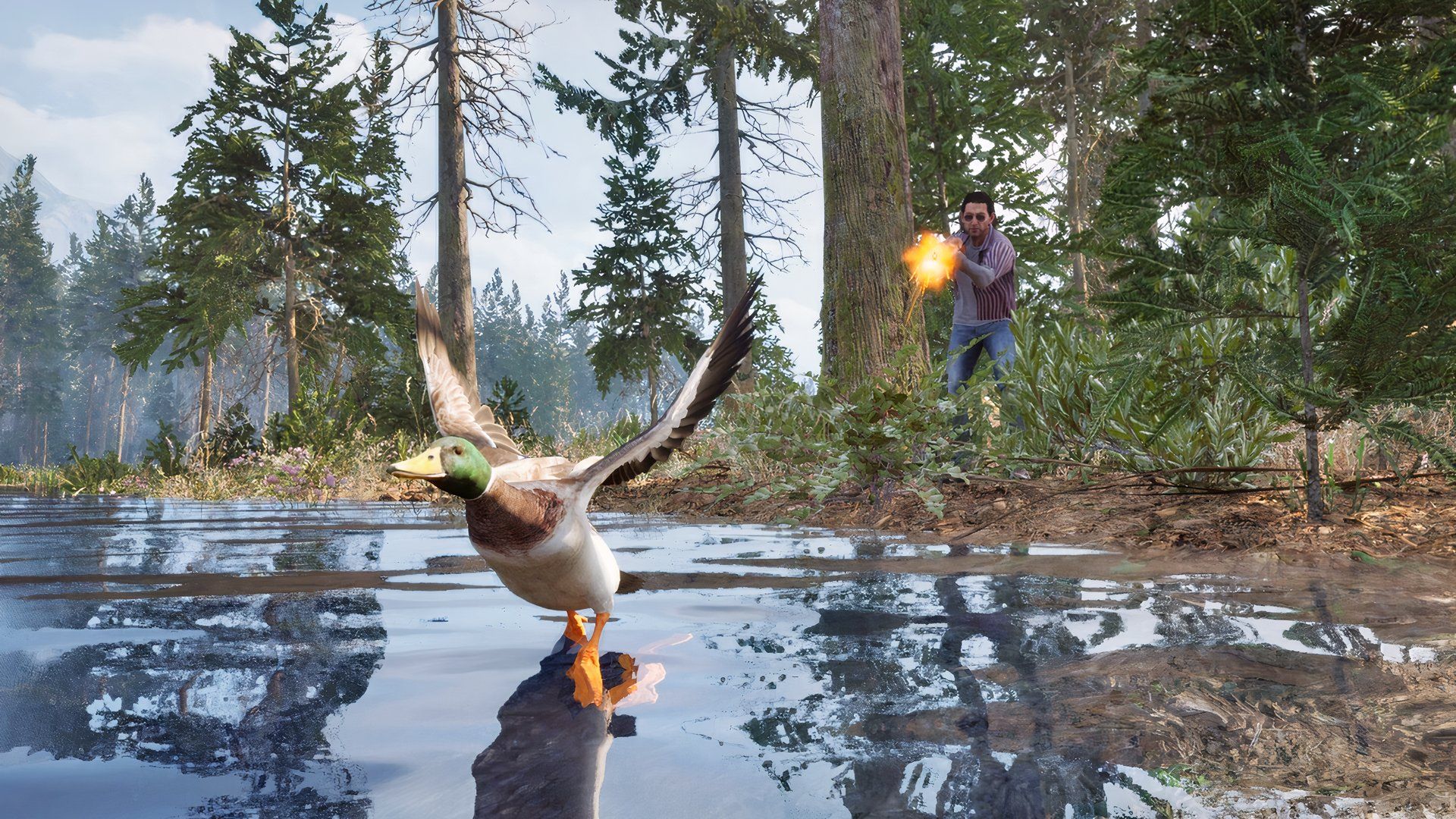 a player hunting a duck in online: 404.