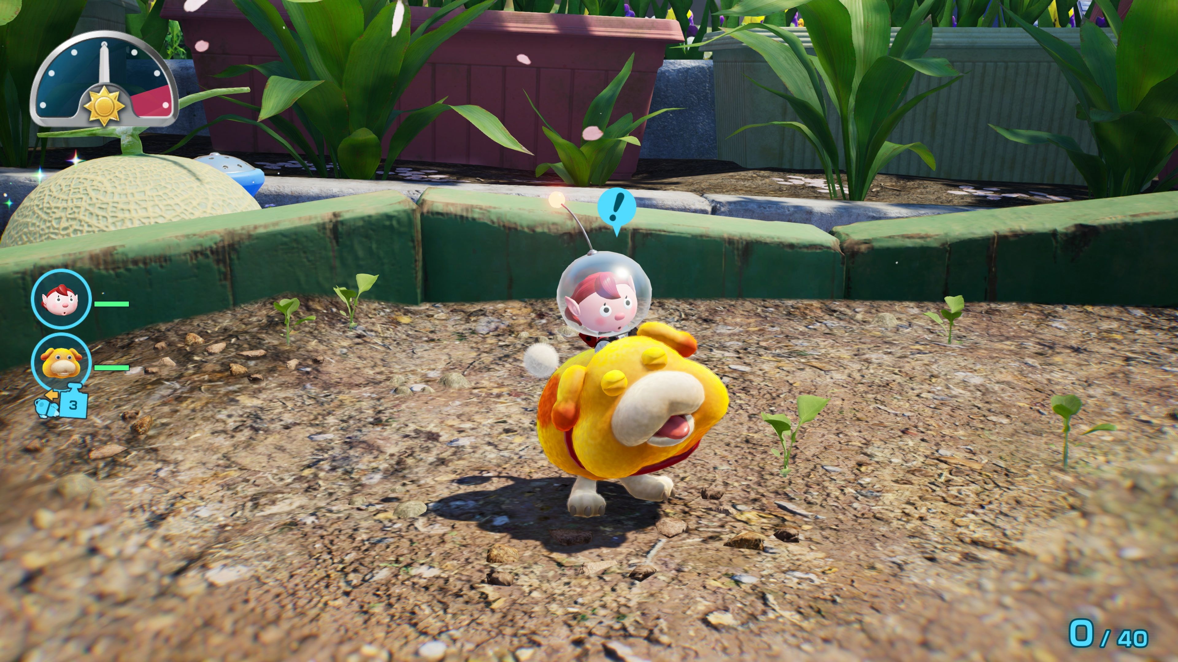Pikmin 4 - Nintendo Switch 2 Edition + Dandori Academy Press Image 1
