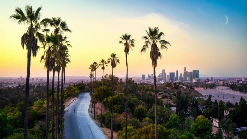 pokemon go la background