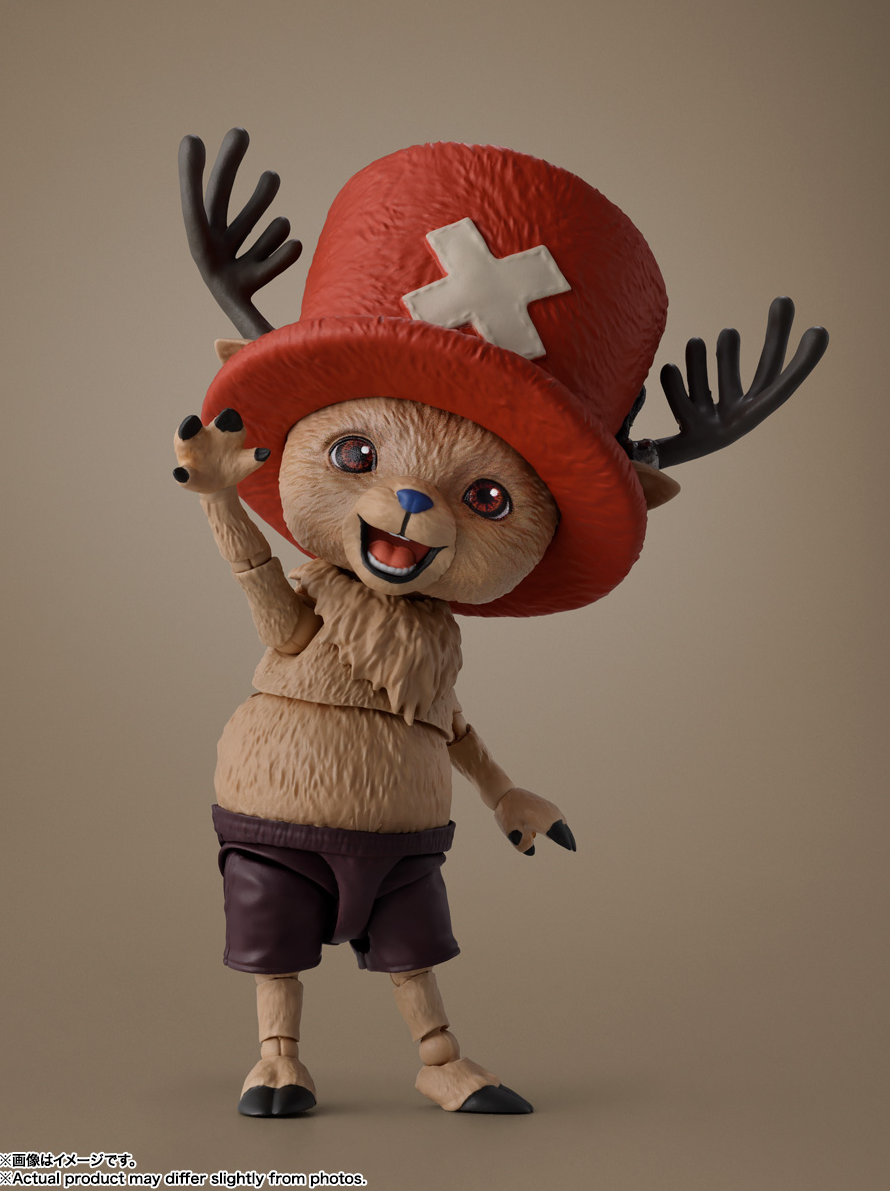 This New One Piece Figure Gives Uncanny Valley Vibes