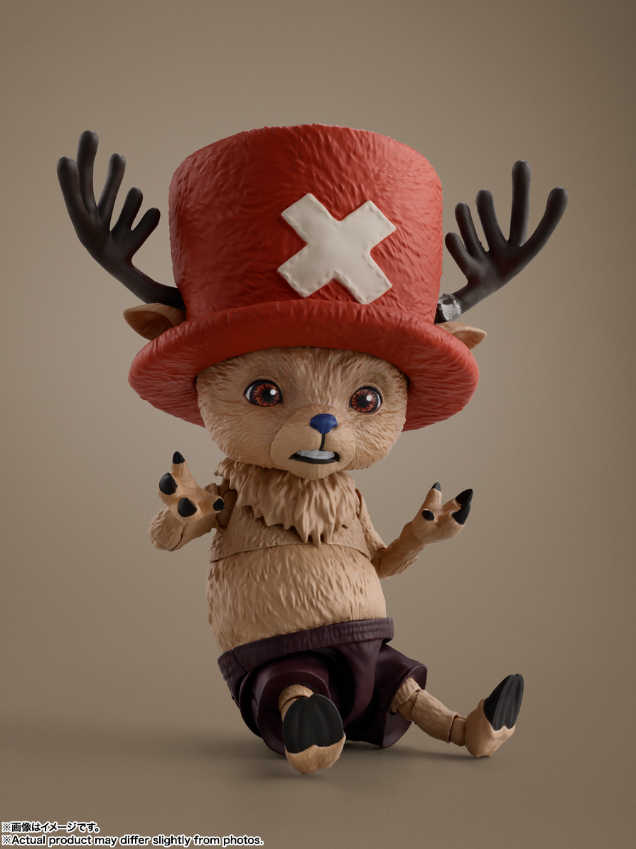 This New One Piece Figure Gives Uncanny Valley Vibes