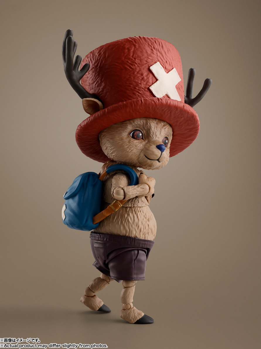 This New One Piece Figure Gives Uncanny Valley Vibes
