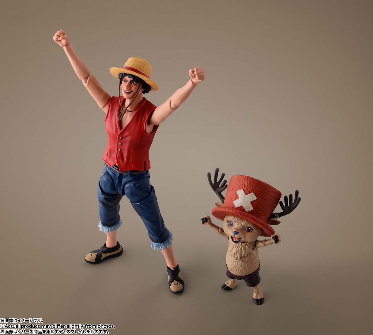 This New One Piece Figure Gives Uncanny Valley Vibes