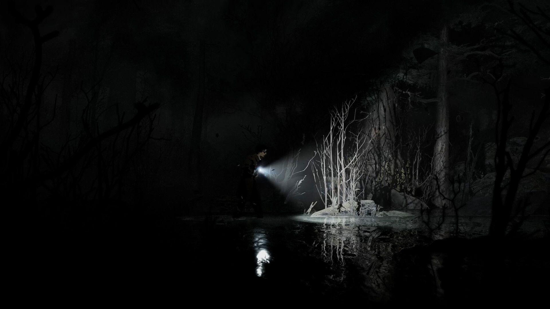 Silver Pines Press Image 8