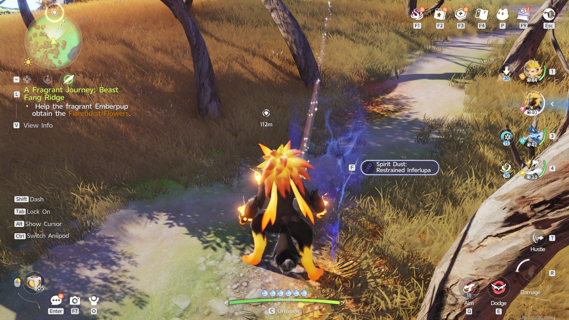 Spirit Dust Location Aniimo