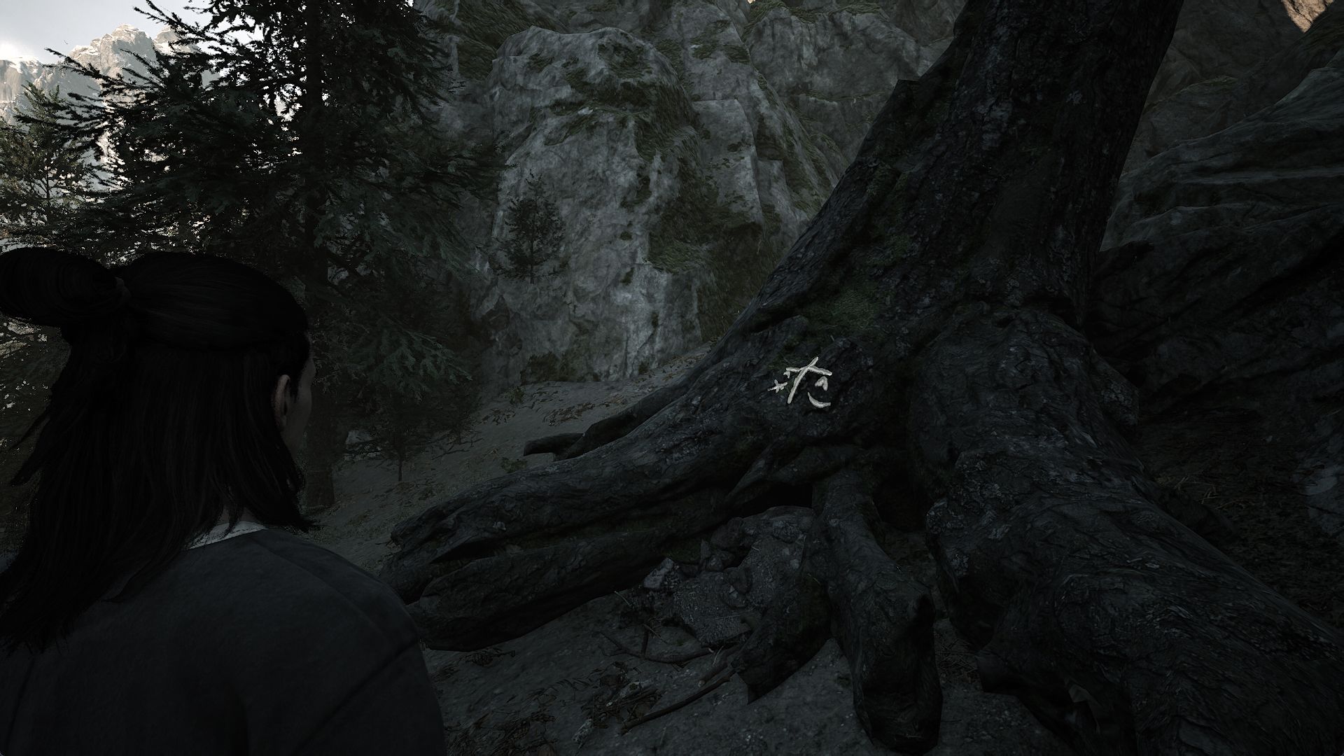 Quest Dead Drop dalam The Blood of Dawnwalker 7 the-blood-of-dawnwalker-tbod-dead-drop-quest-look-clues-stash-tree-location-where-find