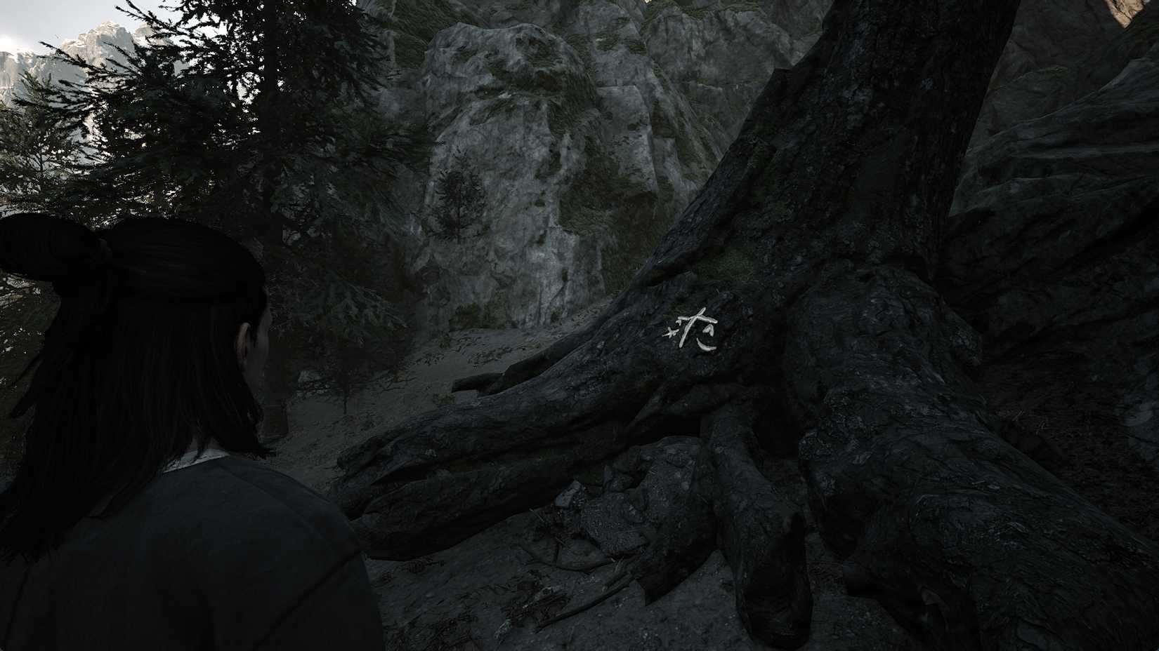 the-blood-of-dawnwalker-tbod-dead-drop-quest-look-clues-stash-tree-location-where-find