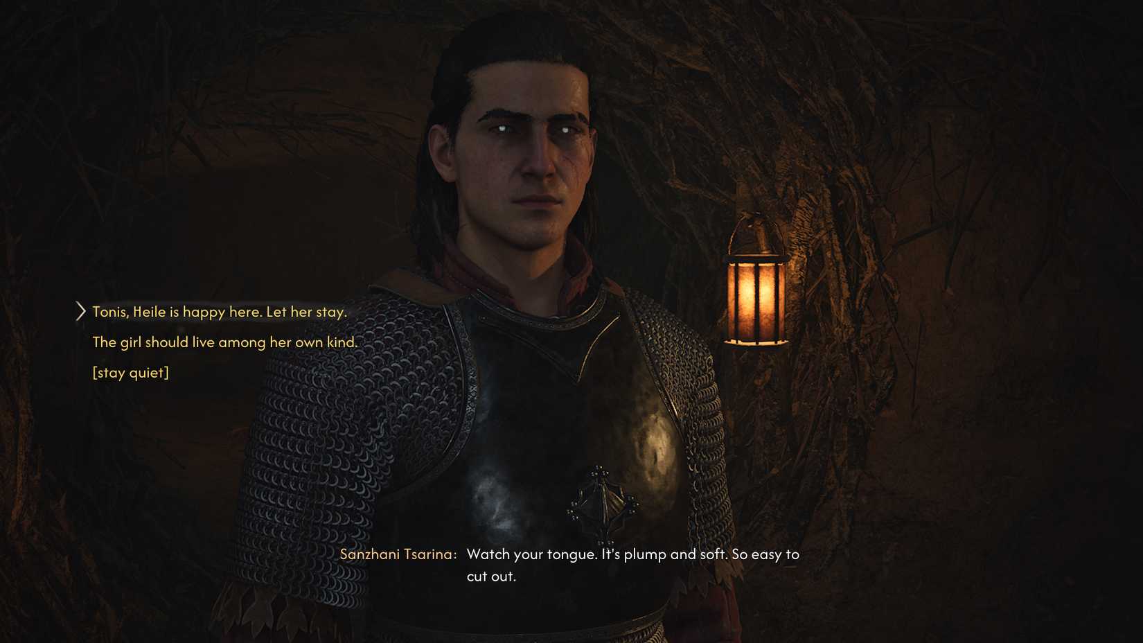 the-blood-of-dawnwalker-tbod-good-home-quest-choices-guide - heile is happy here - she should live among her own kind - stay quiet