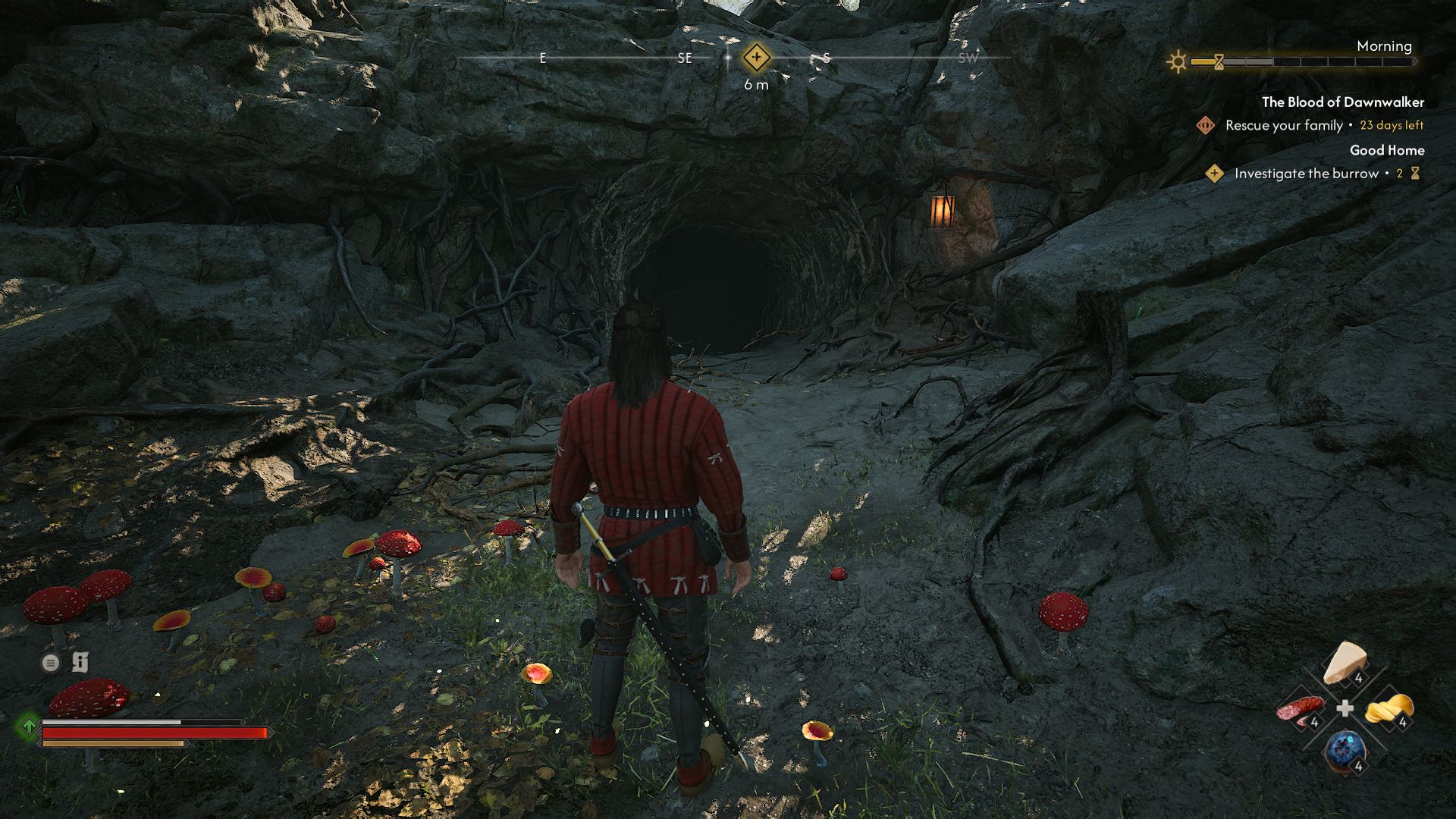 the-blood-of-dawnwalker-tbod-good-home-quest-choices-guide - investigate the burrow