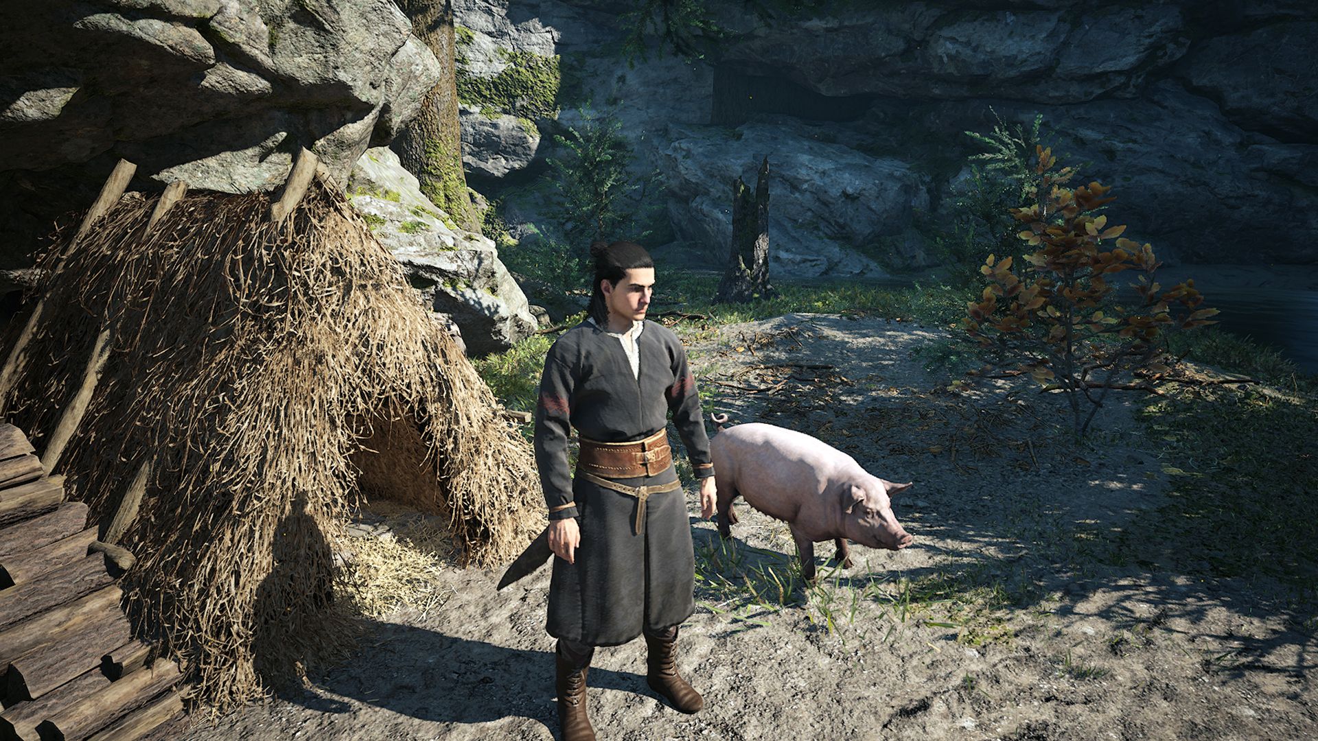 Iorgu's Pig Location In On the Run Quest (Blood of Dawnwalker)
