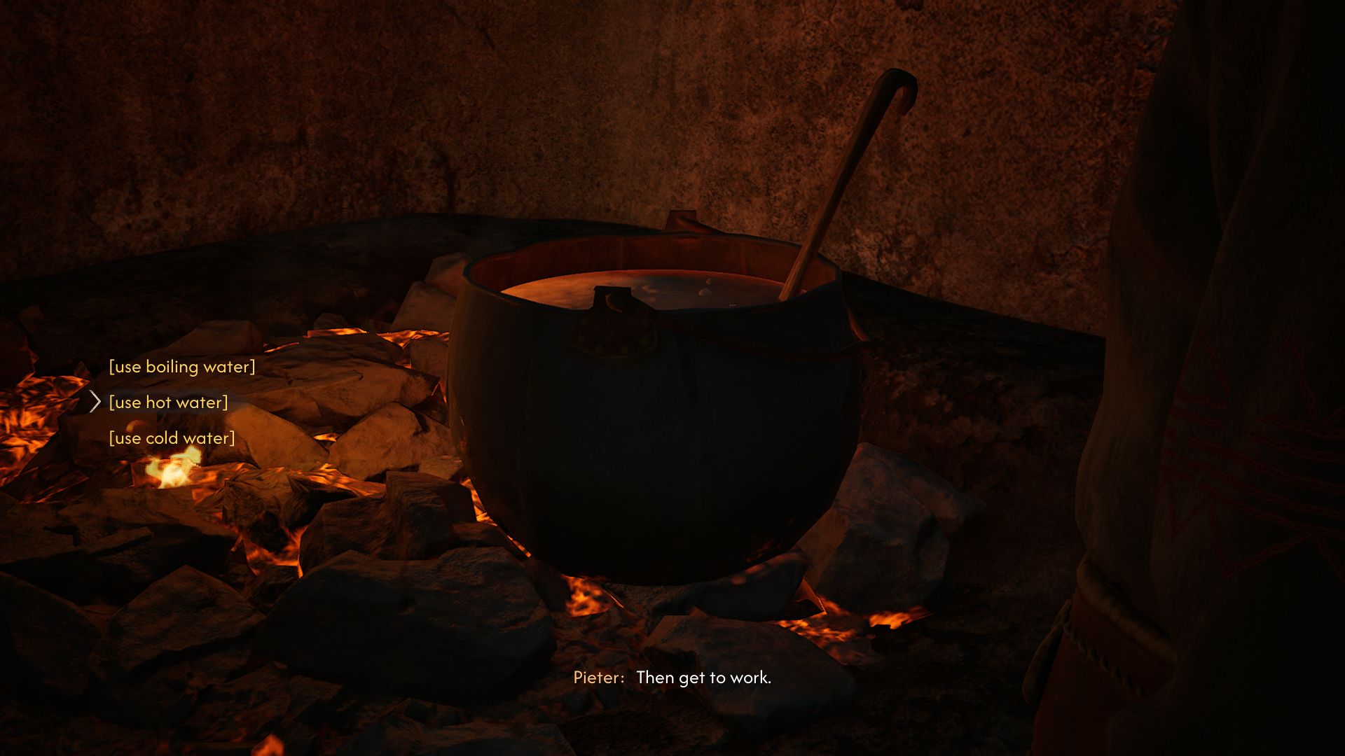 the-blood-of-dawnwalker-use-boiling-hot-cold-water - add-one-two-three-spoonfuls-herbs - correct choice - make coen mother esme medicine