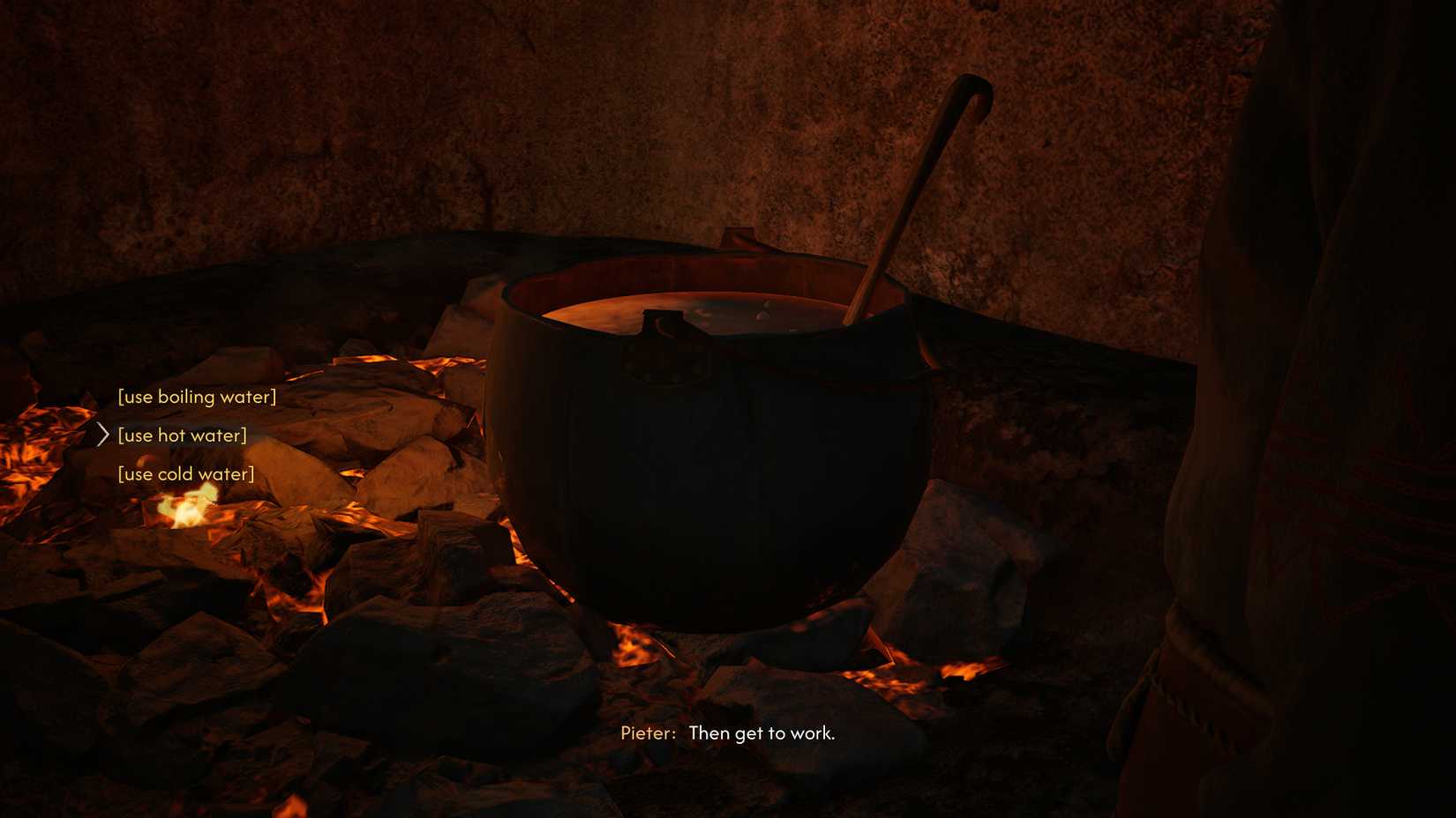 the-blood-of-dawnwalker-use-boiling-hot-cold-water - add-one-two-three-spoonfuls-herbs - correct choice - make coen mother esme medicine